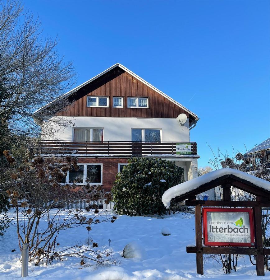 Landhaus Am Itterbach Willingen วิลลิงเงิน ภายนอก รูปภาพ